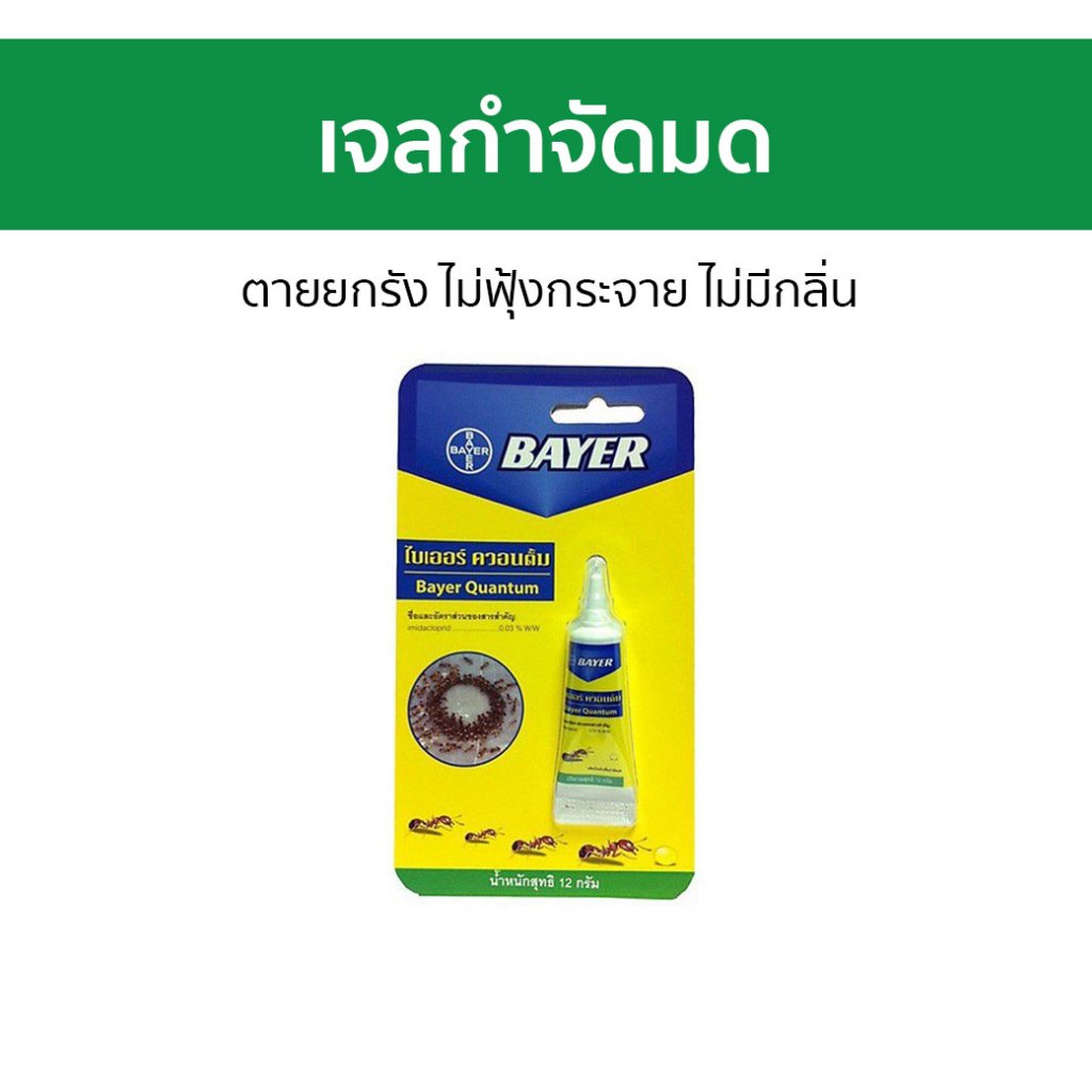 เจลกําจัดมด Bayer Quantum ตายยกรัง ไม่ฟุ้งกระจาย ไม่มีกลิ่น - ยาฆ่ามด