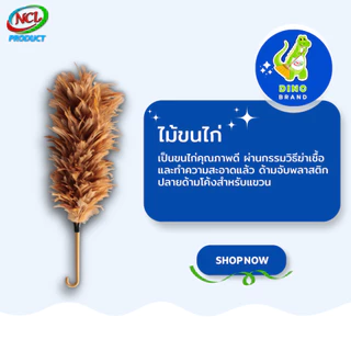ไม้ขนไก่กลาง 50 ซม. พร้อมส่ง ขนฟูหนาแน่น ทนทาน DINO BRAND