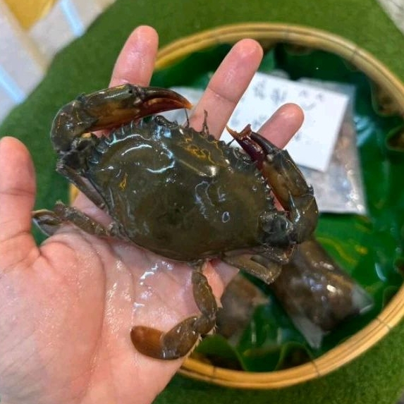 ปูนิ่มฟรีช แพ็คละ4-6 ตัวโล (หลังละลายน้ำหนักจะเหลือ400-500กรัม)