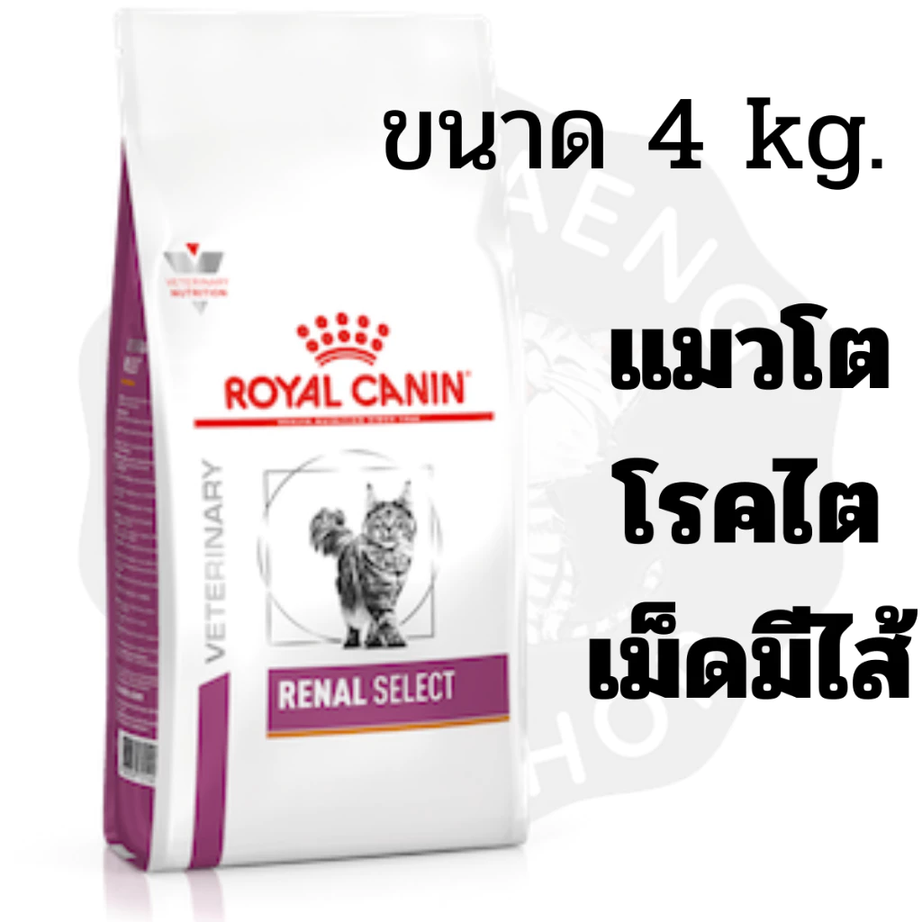 Royal Canin RENAL SELECT FELINE (โรคไต) อาหารประกอบการรักษาโรคในแมว เม็ดสอดไส้ ขนาด 4kg. มีเก็บเงินปลายทาง