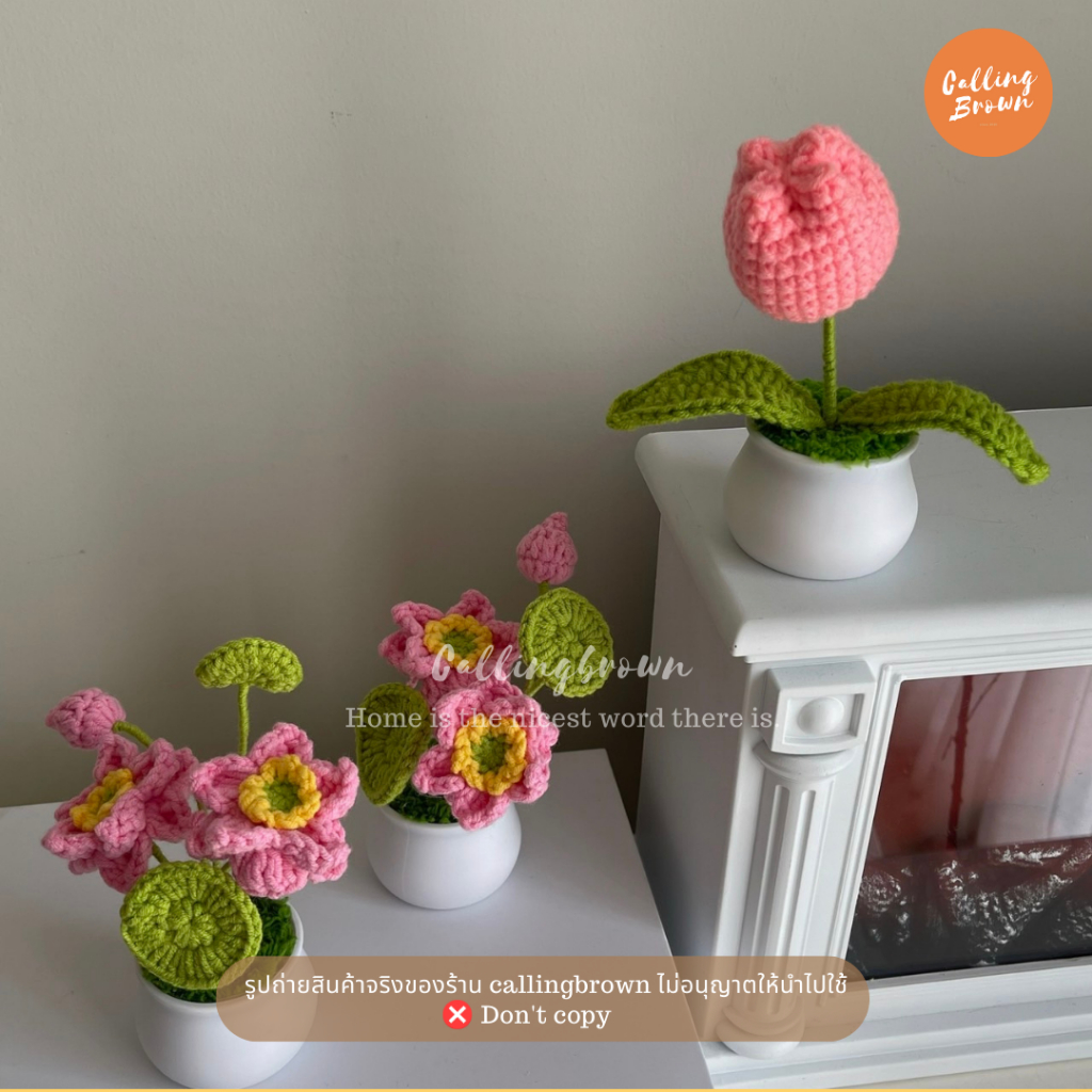 callingbrown [🪴พร้อมส่ง🪴] กระถางต้นไม้ ดอกไม้แฮนด์เมด แบบถักโครเชต์ ของขวัญวันเกิดวันวาเลนไทน์ ต้นไม้จิ๋ว ถัก - รูปที่ 2