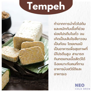 หัวเชื้อเทมเป้ ผงหัวเชื้อเทมเป้ 100กรัม Tempeh Starter100g เทมเป้ เตมเป ถั่วเหลืองหมัก มังสวิรัติ เจ กินเจ