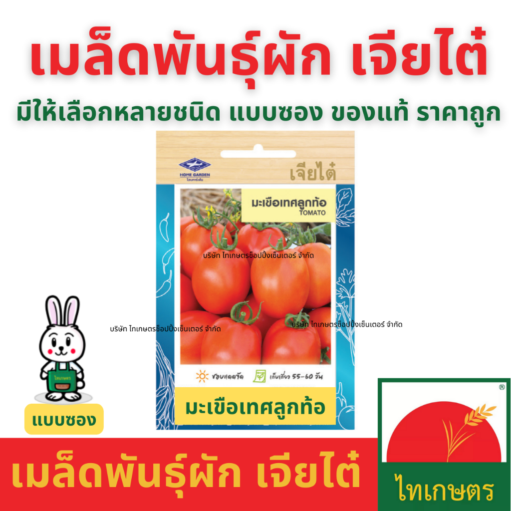 เมล็ดผัก เจียไต๋ เมล็ดพันธุ์ ผักซอง ผักบุ้ง ผักกาดขาว คะน้า กะเพรา คื่นช่าย ผักชี แตงกวา พริก ถั่ว ราคา ถูกที่สุด ดีลบีเคเค แกลเลอรีภาพที่ 3