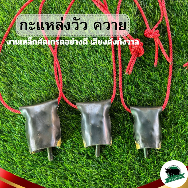 กะแหล่ง วัว ควาย ฮอกวัว งานเหล็กสวย เสียงดังกังวาน กะโหล่ง กระดิ่ง