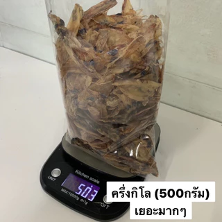 🦑หมึกตัวเล็ก ขนาด 250-500 กรัม สดใหม่จากมหาชัย