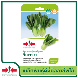ศรแดง เมล็ดพันธุ์ผักกาดกวางตุ้งฮ่องเต้ลูกผสม F1 จั่นเจา (East-West Seed) เมล็ดพันธุ์ ผักสวนครัว ตราศรแดง