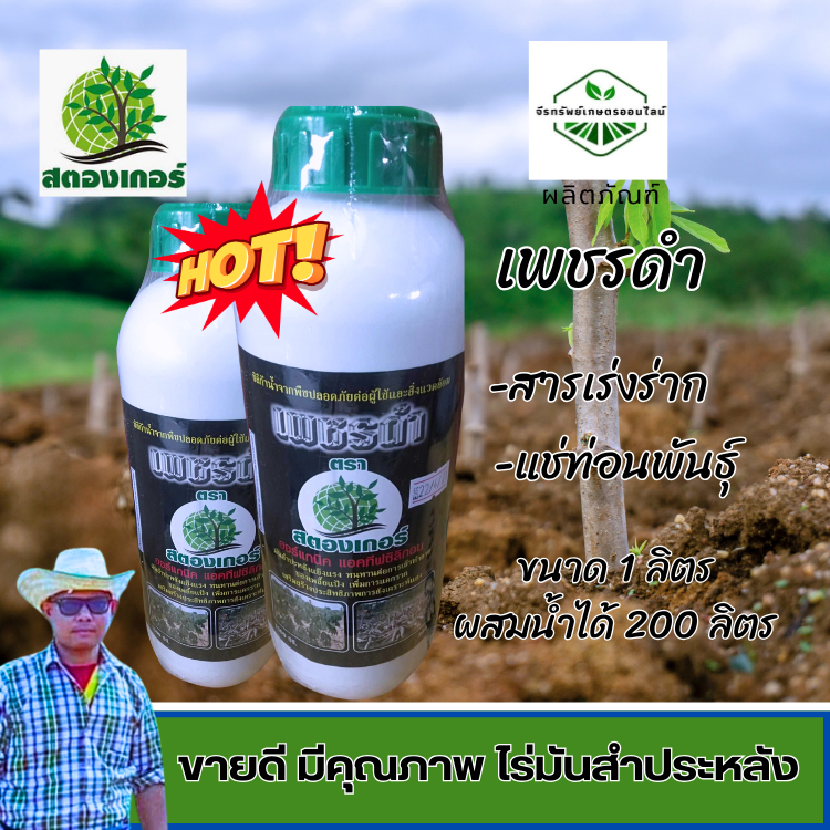 เพชรดำเร่งราก ขนาด 1 ลิตร กระตุ้นการแตกราก