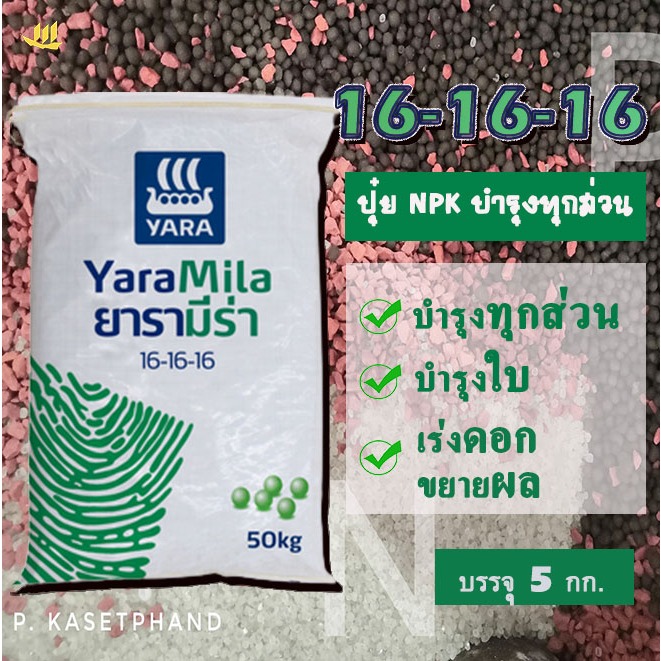 16-16-16​​ ยารา มีร่า แบ่งบรรจุ 5 Kg​. NPKครบ บำรุงใบ เน้นบำรุงลำต้น ​เพิ่มราก​ เร่งดอก เพิ่มหวาน​ ขยายผล​ เพิ่มน้ำหนัก​