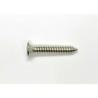สกรูเกลียวปล่อย หัวเตเปอร์ ห้วF #7 หัวแบน หัวเรียบ ตะปูเกลียว ชุบนิเกิล Self Tapping Screws Flat Head #7 Nickel Plated