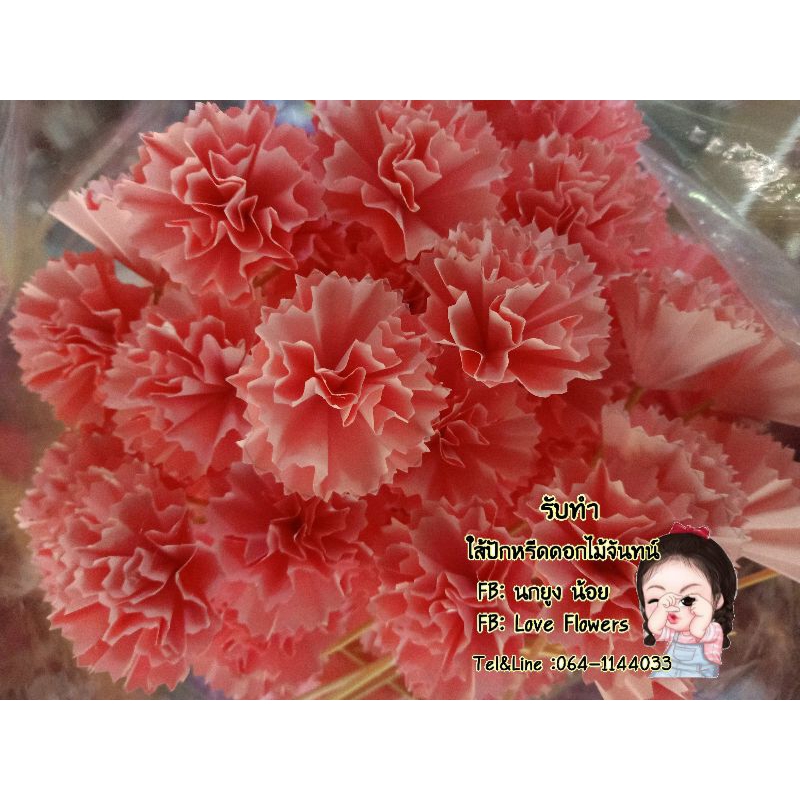 ใส้คาเน่ชั่น ไม้เสียบลูกชิ้น 2.5×6" สั่งสีได้ค่ะ มีทุกสี