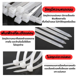 (ราคาโรงงาน) เคเบิ้ลไทร์ Cable Tie 4-6-8-10-14-16 นิ้ว สีขาว-ดำ หนวดกุ้ง สายรัดสายไฟ แพ็คละ 100 เส้น