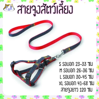 สายจูง ที่รัดอก สำหรับสัตว์เลี้ยง dog leashes [สายยีน]