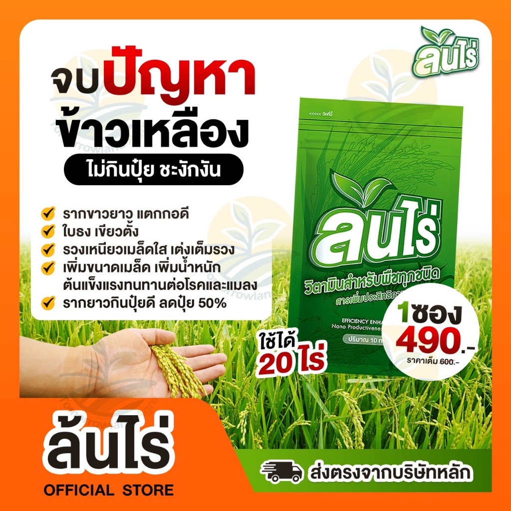 ส่งฟรี ล้นไร่ สูตรข้าวล้นนา สารเสริมประสิทธิภาพพืชทุกชนิด 10 กรัม 1 ซองใช้ได้ 20 ไร่ ผสมน้ำ 800 ลิตร ของแท้ 100%