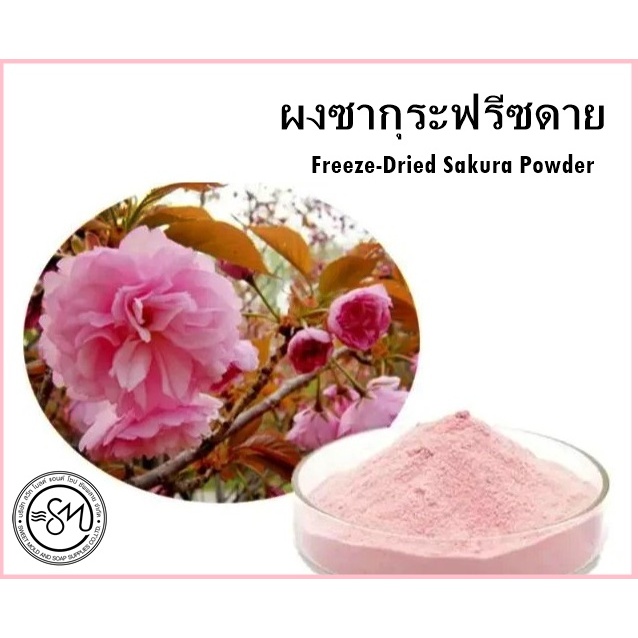 ผงดอกซากุระฟรีซดาย ขนาด 50 กรัม ผงสมุนไพร ผงดอกไม้