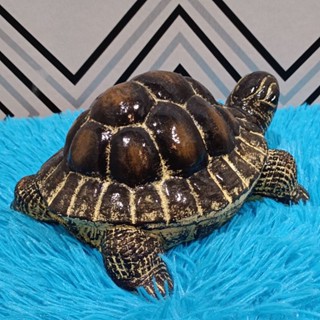 เต่าปูนปั้น เต่าอายุยืน เต่าเสริมฮวงจุ้ย เต่าแต่งบ้านแต่งสวน