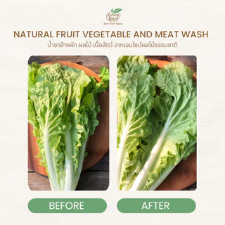 GreenWash Fruit and Vegetable Wash น้ำยาล้างผักผลไม้และเนื้อสัตว์ จากเอนไซม์ผลไม้ ขนาด 400 มล.