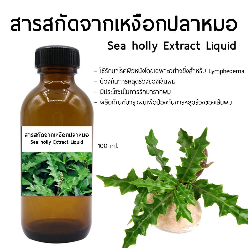 สารสกัดเหงือกปลาหมอ🌿 100 ml 🌿  Sea holly Extract Liquid