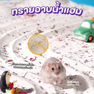 [มีหลายกลิ่น] ทรายอาบน้ำสำหรับแฮมสเตอร์แบรนด์ Bucatstate ปลอดภัยต่อสัตว์เลี้ยง มีกลิ่นหอมของดอกไม้ ดับกลิ่นได้ดี