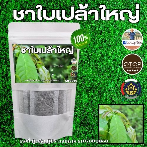 ชาใบเปล้า ใบเปล้าใหญ่อบแห้ง ขนาด 12 ซองชา สินค้าดี OTOP