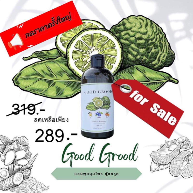 แชมพู สมุนไพร มะกรูด กู๊ดกรูด Good grood สูตรรวมมีฟอง สูตรใหม่ เนื้อสัมผัสข้นมากขึ้น ผมนิ่มขึ้น