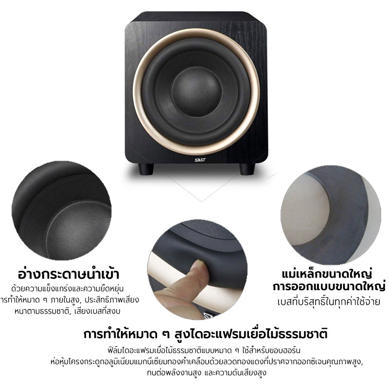 SAST ลําโพงแบบพาสซีฟ ขนาด 10 นิ้ว ลําโพงอัตราส่วนสัญญาณต่อสัญญาณรบกวนสูงพิเศษกําลังสูง ซับวูฟเฟอร์ กําลังไฟสูงสุด 200W