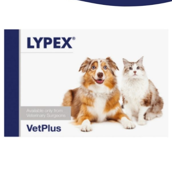 Vetplus Lypex (Exp.07/2026) (แพ็คเกจใหม่)ไลเป็กซ์ สำหรับสุนัข-แมว บรรจุ 60 caps