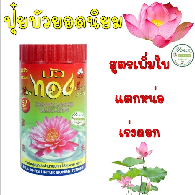 ปุ๋ยบัว บัวทอง และช่องาม ปุ๋ยดอกบัว ปุ๋ยไม้น้ำ 🌷 สูตรเร่งดอก 50 เม็ด บำรุงต้น เพิ่มใบ เร่งดอก สีสด ปลอดภัยต่อสัตว์น้ำ