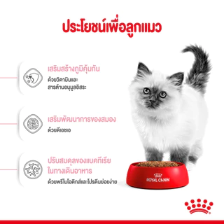 Royal Canin Kitten ขนาด 2kg,4kg และ 10kg อาหารเม็ด สำหรับลูกแมว อายุ 4-12 เดือน