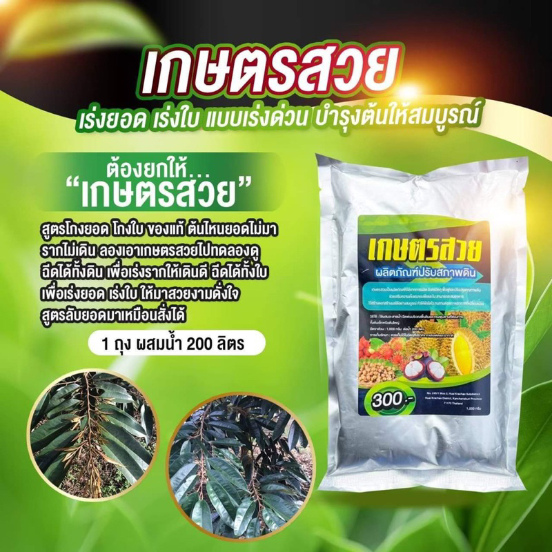 เกษตรสวย ทำยอดทุเรียน
