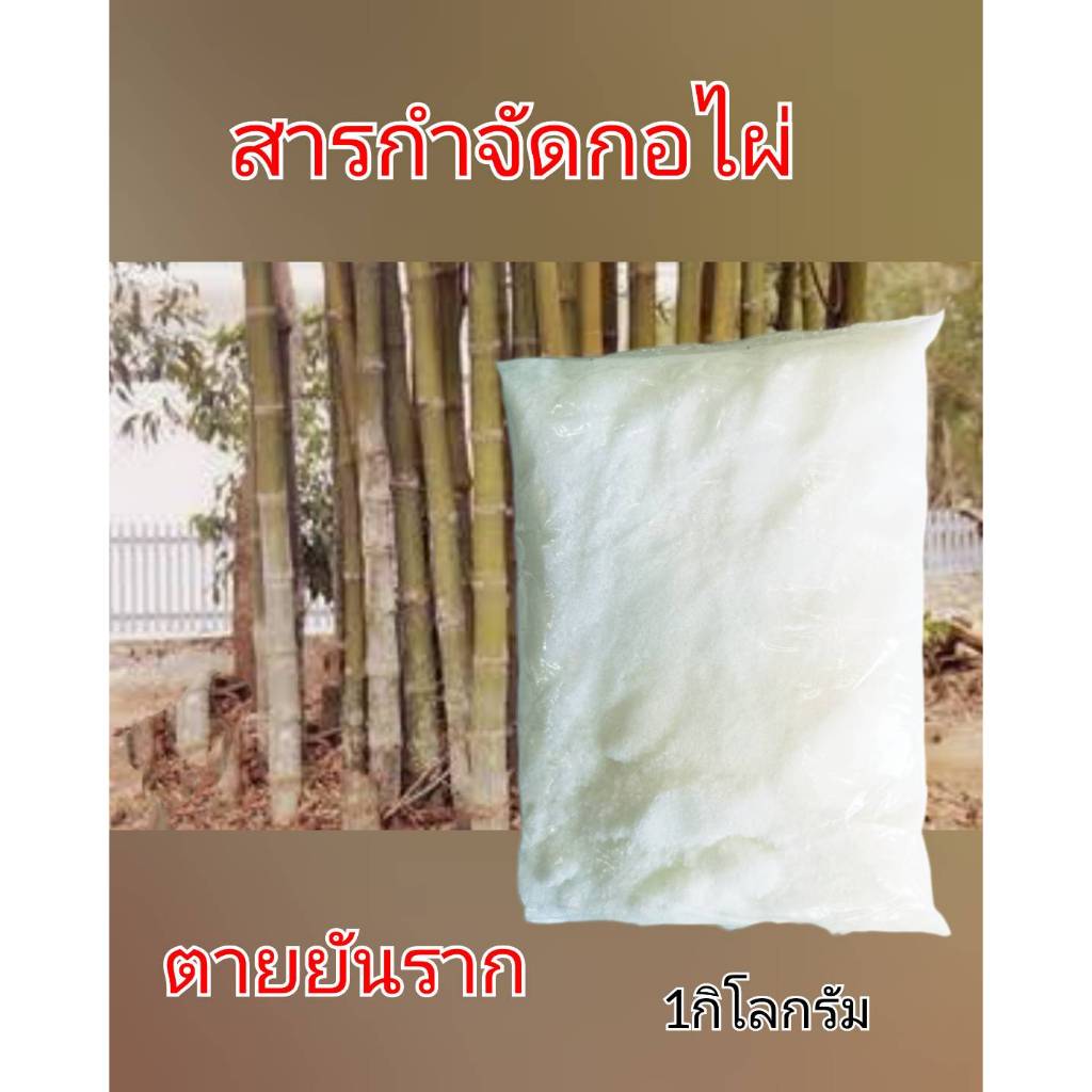 สารกำจัดกอไผ่ ยาฆ่ากอไผ่ โซเดียม ทำลายกอไผ่ ยาฆ่าตอไผ่ ยาฆ่าไผ่ เบื่อไผ่ โซเดียมคลอเรต