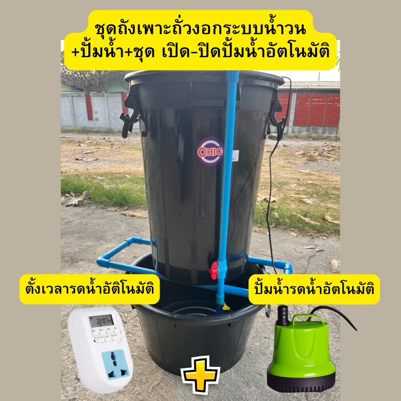 015ถังปลูกถั่วงอก เพาะถั่วงอก สำหรับมือใหม่หัดเพาะ  แถมชุดถั่วฮอร์โมน เป็นระบบรดน้ำอัตโนมัติ พร้อมส่ง‼️
