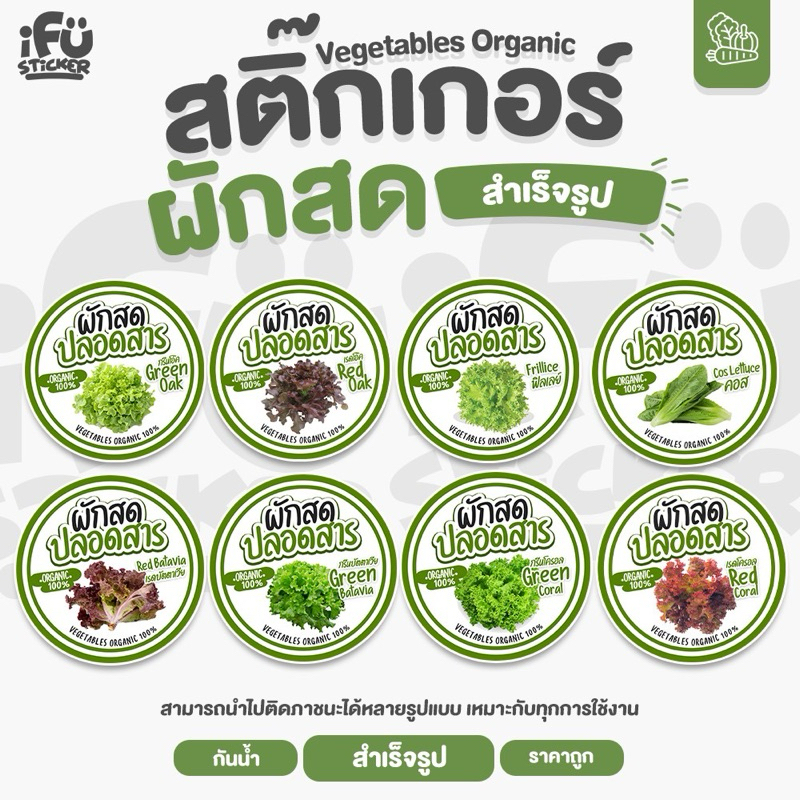 สติกเกอร์ชื่อผักออแกนิค  สำเร็จรูป (กันน้ำ) – โปรปัง