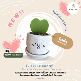 ต้นไม้มงคล พร้อมกระถางลายหน้ายิ้ม🪴🥰✨ ตั้งโต๊ะทำงานฟอกอากาศ