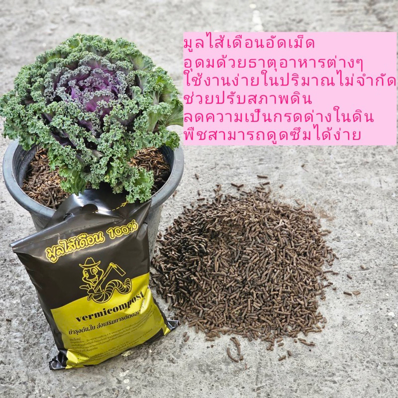 มูลไส้เดือนอัดเม็ดคุณภาพเยี่ยม