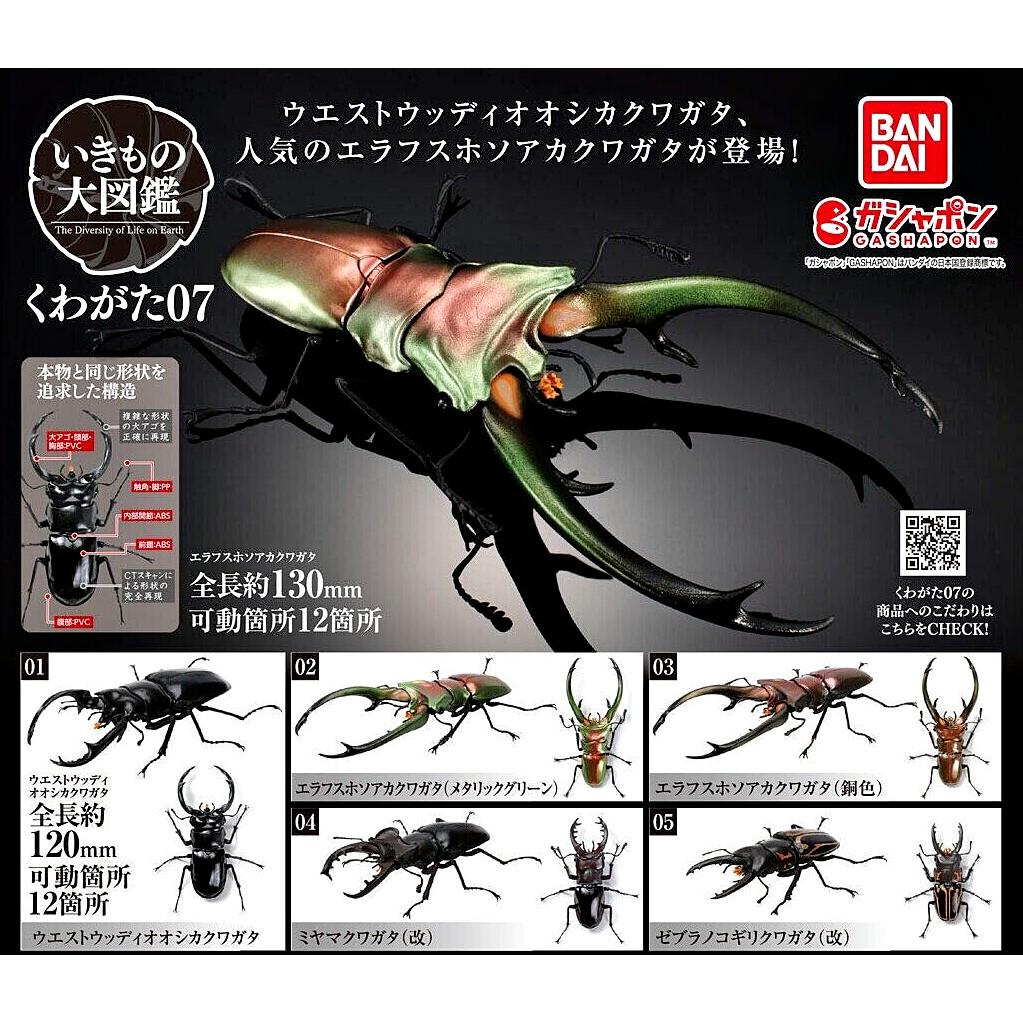 (เพิ่ม4แบบพร้อมส่ง) กาชาปองด้วงคีม Gashapon Bandai Kuwagata Stag Beetle Action Vol.07 โมเดลสัตว์