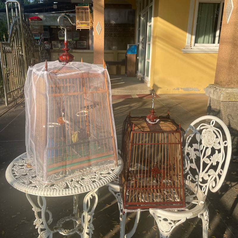 ผ้ามุ้ง ผ้ากันหวาบ ผ้าหวาบ มี 11/11สูง/13/13สูง/15/17/19/21/23 ซี่ ผ้ามุ้ง