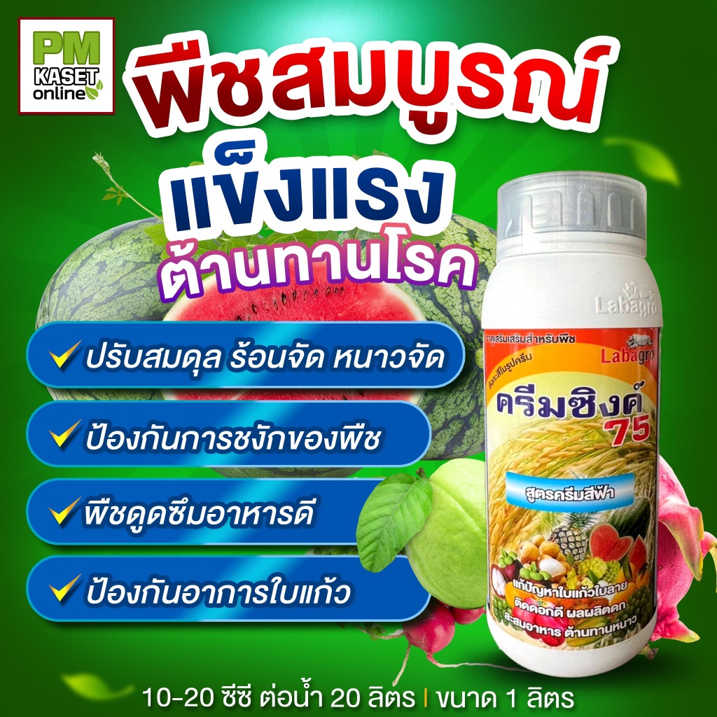 ครีมซิงค์ ซิงค์ 75 ฮอร์โมนพืช ปุ๋ยน้ำแก้หนาว ไม่กินปุ๋ย ช่วยให้ข้าวออก ข้าวพุ่ง อาหารเสริมพืช ขนาด 1 ลิตร