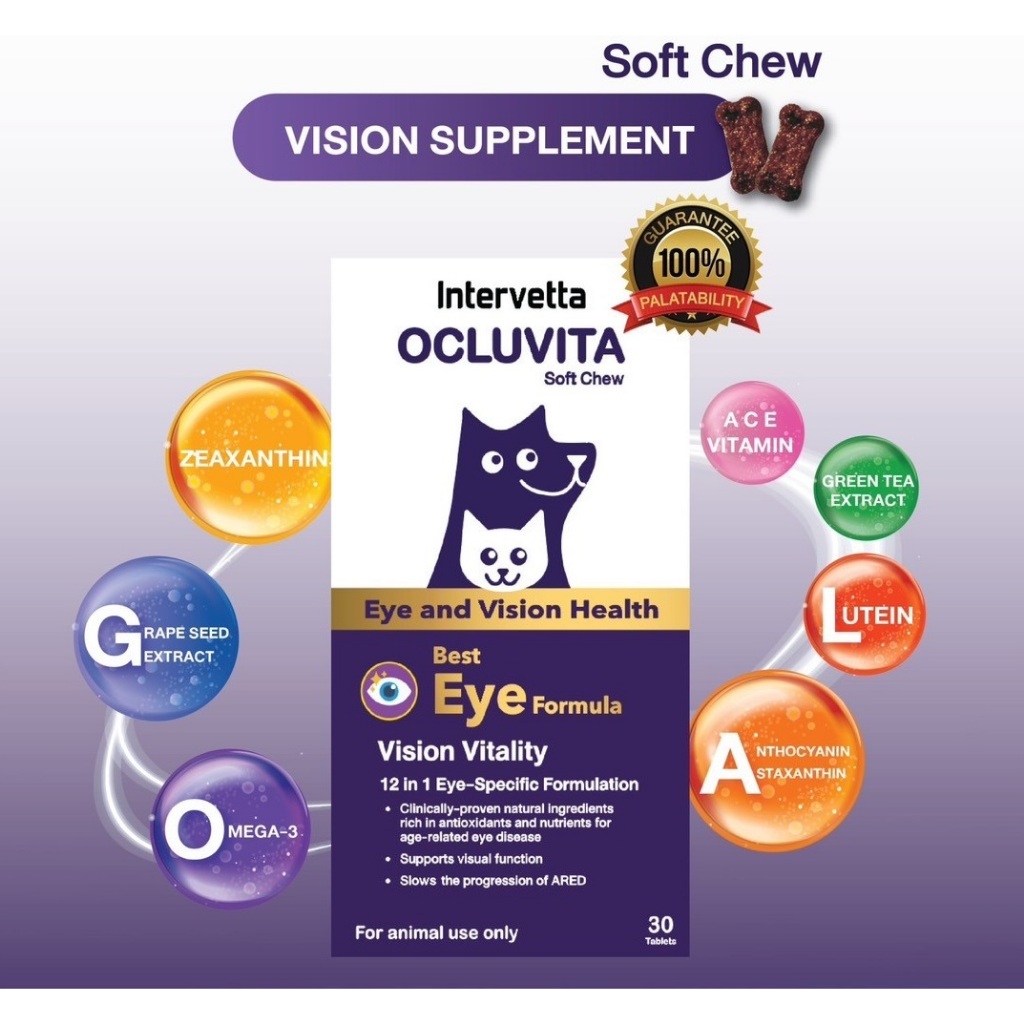 OCLUVITA Eye and Vision Health บำรุงสายตาสุนัข-แมว เสริมการมองเห็น บำรุงจอตา ประสาทตา ลดตาแห้ง (เม็ด