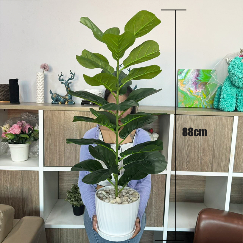 PlantsCenter P005 ต้นไม้ปลอม(ฟรีหินโรย)ต้นไทรใบสัก มอนสเตอร่า ฯลฯ สูง40-105ซม.พร้อมกระถางและหินสีขาว รูปที่ 4