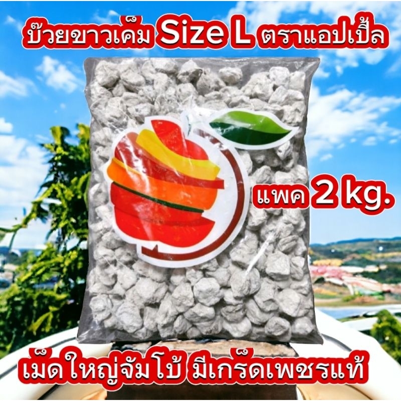 พร้อมส่งไว บ๊วยเค็ม Size L เม็ดใหญ่จัมโบ้ [ 2 kg.] มีเกร็ดเพชร เม็ดสวย ตราแอปเปิ้ล