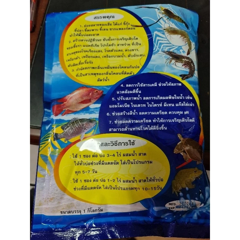 บาซิลลัส999 จุลินทรีย์ผงสำหรับบำบัดน้ำเสียในบ่อเลี้ยงสัตว์น้ำ ช่วยสร้างสีน้ำ ลดความเครียด ควบคุม pH thumbnail 3