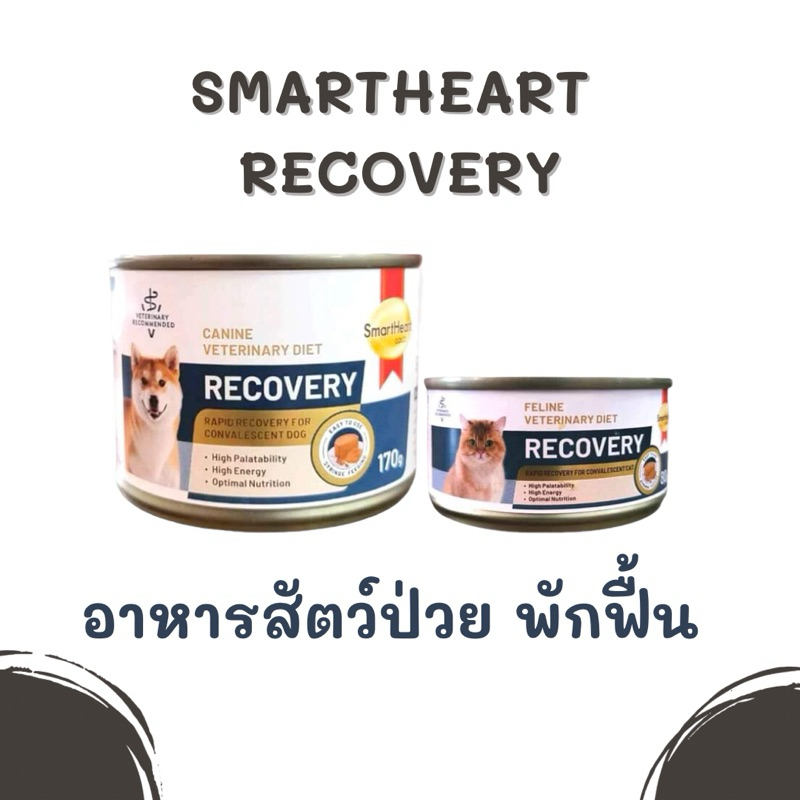 Smartheart Gold Recovery อาหารเปียก สำหรับ สัตว์ป่วย พักฟื้น หลังผ่าตัด สุนัข และ แมว ขนาด 80, 170 g