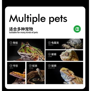 CLEAN EXOTIC PET ต้นไม้ปลอมแต่งตู้ สัตว์แปลก ตู้ปลา เอกโซติกเพท ต้นไม้ปลอม ต้นไม้ เต่า เบียส งู กิ้งก่า กบ ใบไม้ สัตว์