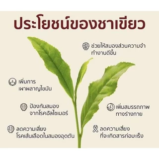 🌱ชาเขียว1 ถุงมี 30 ซอง ชาเขียว ดอยอ่างขาง organic 100% ดื่มดีมีประโยชน์ต่อสุขภาพร่างกายสามารถรักษาโรคต่างๆได้ดี