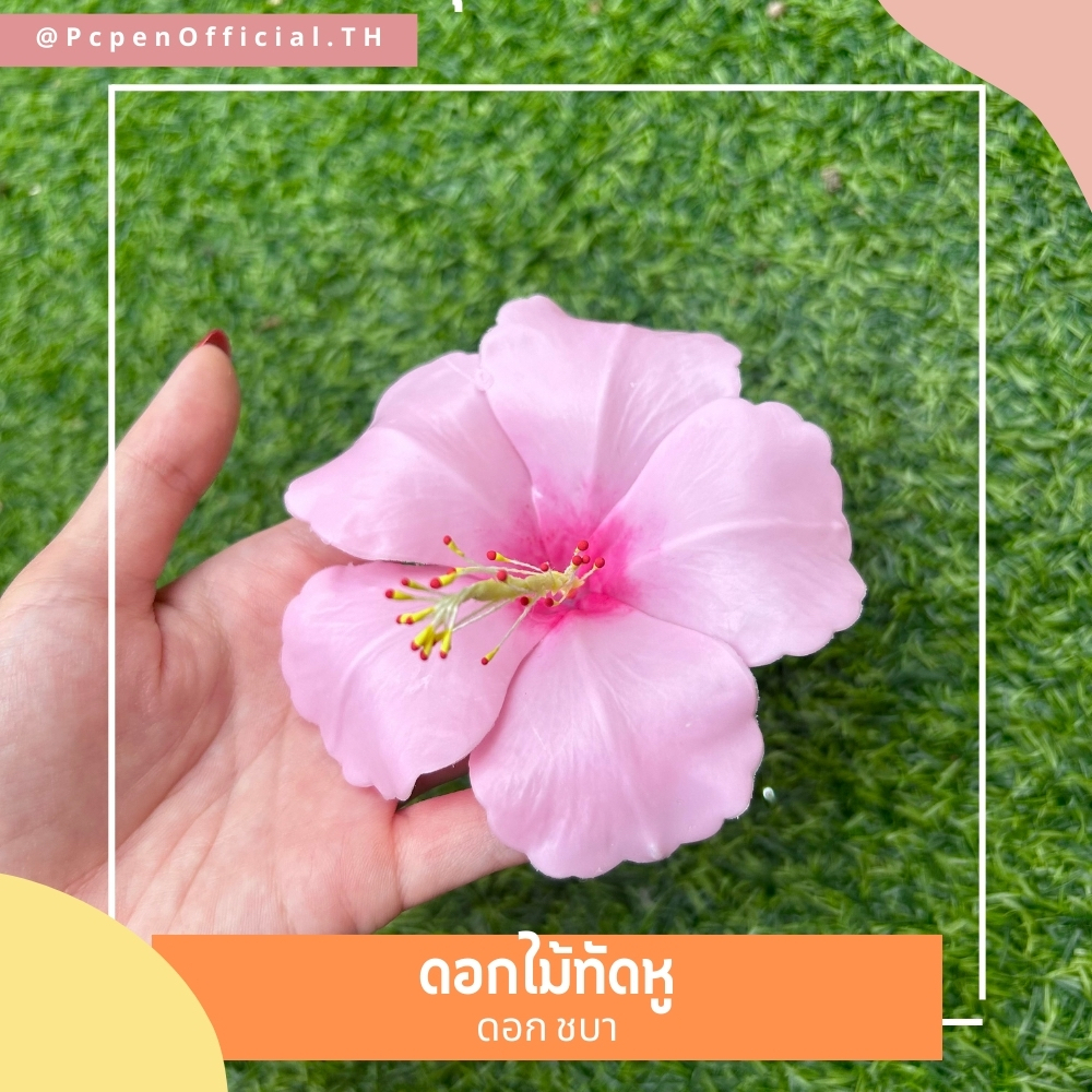 ดอกไม้ทัดหู ดอกชบา ดัดจัดทรงได้ แต่งหน้าโทนไหนก็รอดด รูปที่ 4