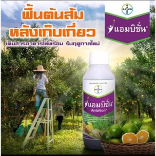 แอมบิชั่น 1 ลิตร กรดอะมิโน+ฟลูวิคเข้มข้น ช่วยบำรุงให้ต้นแข็ง…