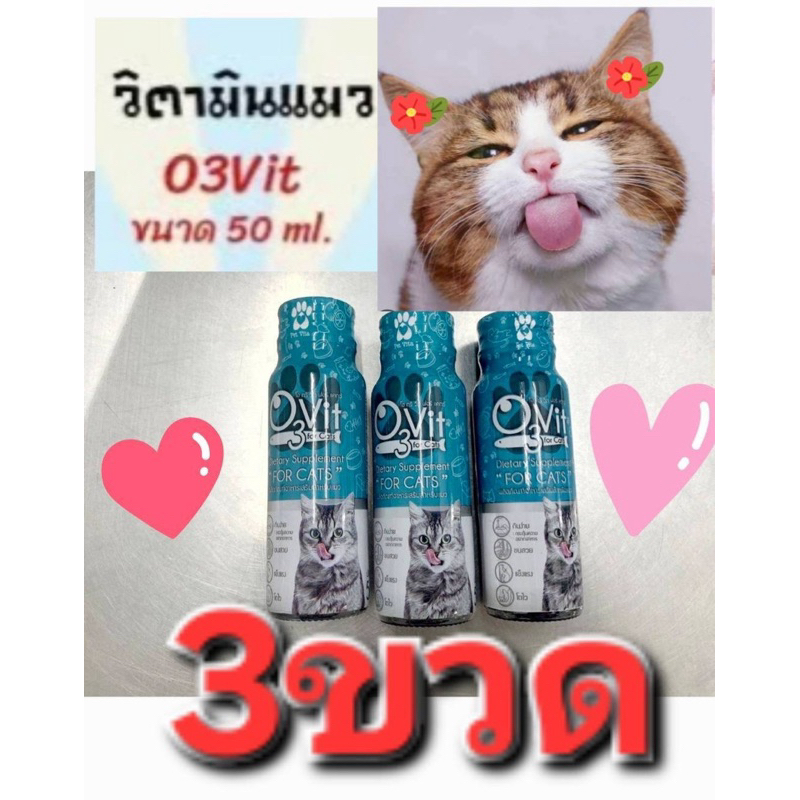 O3Vit catบํารุง อ้วน แข็งแรงกินเก่งเสริมภูมิมีไลซีนแบบน้ำ 50ml 3ขวด