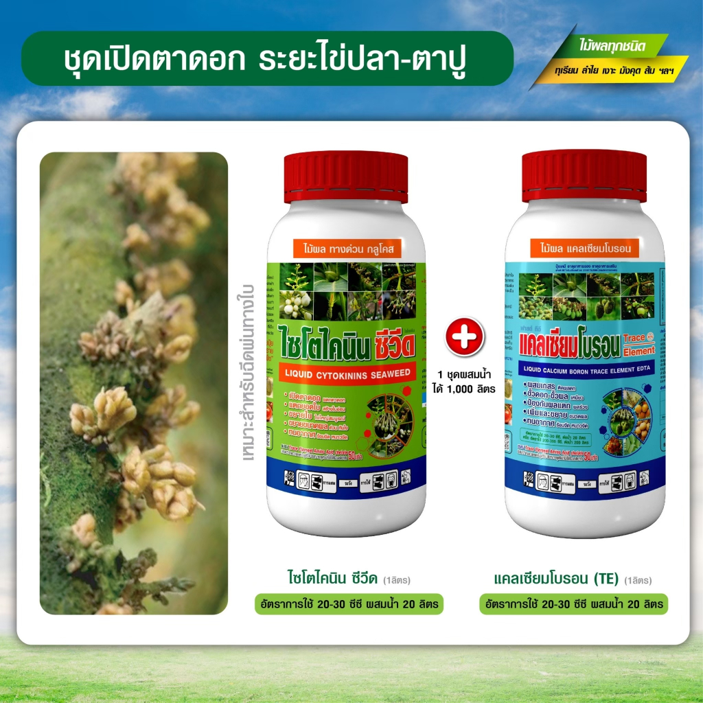 [โปรแกรมทุเรียน] ชุดเปิดตาดอกทุเรียน ระยะไข่ปลาตาปู เร่งเปิดตาดอก ออกดอกพร้อมกันทั้งต้น ขั้วดอกเหนียว (ขนาด 1+1 ลิตร)