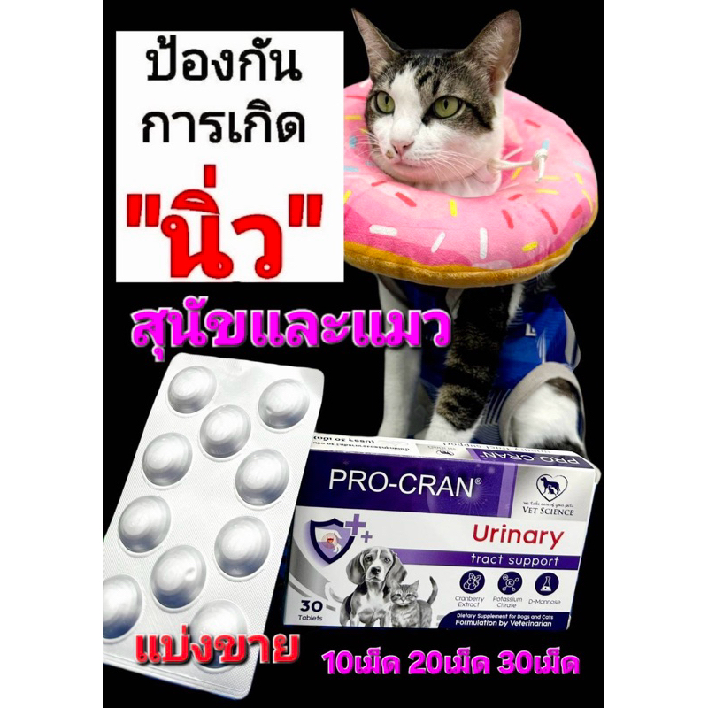 Pro-Cran วิตามินป้องกันการเกิดนิ่ว และช่วยลดโอกาสการติดเชื้อในทางเดินปัสสาวะ ใช้ได้ทั้งสุนัขและแมวแบ่งขาย10,20,30เม็ด