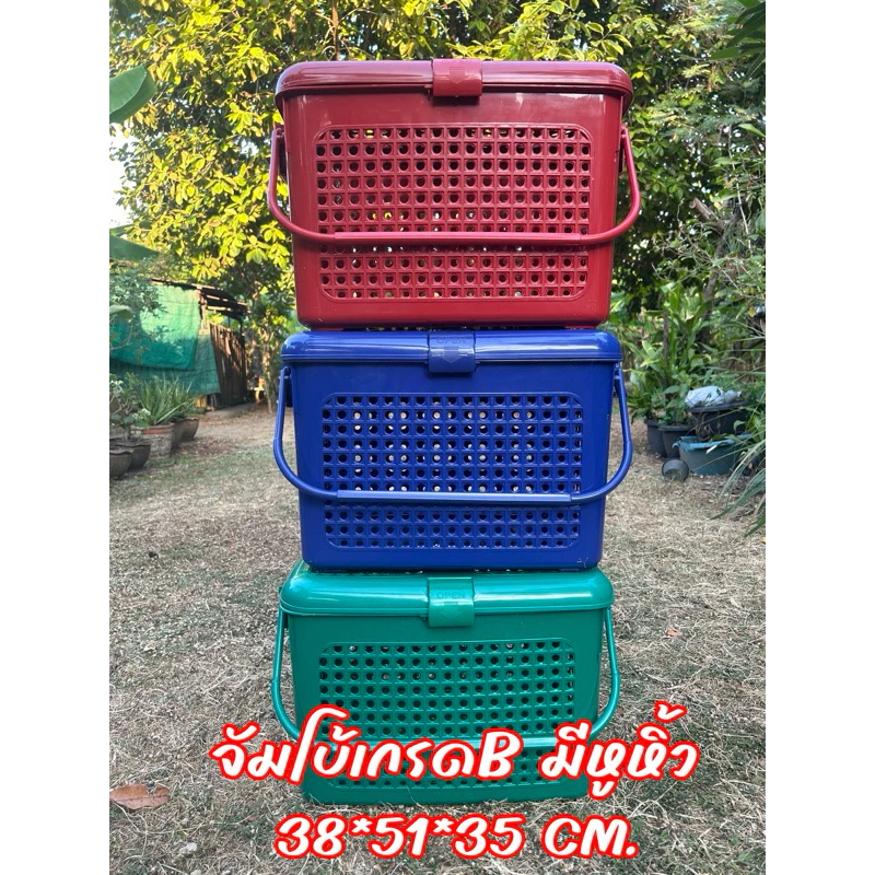 ตะกร้าพลาสติกอเนกประสงค์ เตรียมคลอดหรือใส่สัตว์ แมว,สุนัข สีพาสเทลมีฝาล็อคมีรูมีหูหิ้ว thumbnail 10